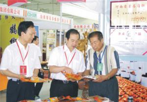 原安陽市市長董永安、副市長陳明今到公司調研